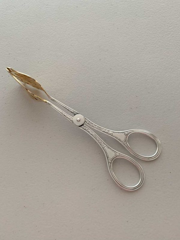 Pinza-recubierta-en-plata-elegante
