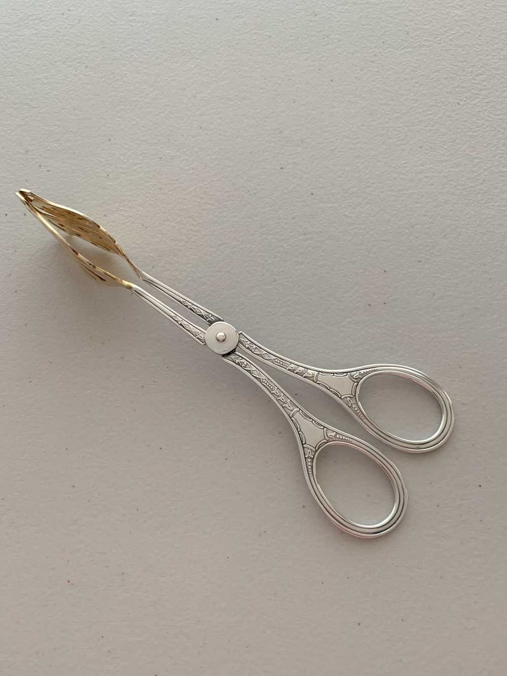 Pinza-recubierta-en-plata-elegante